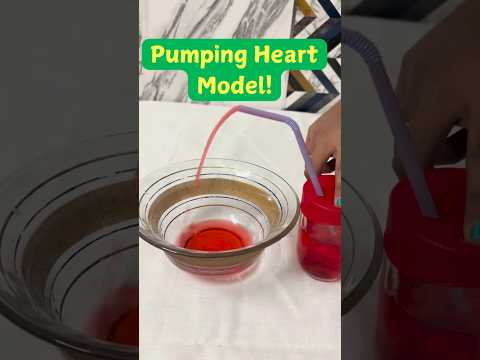 Engaging Physics Experiments to Inspire Young Scientists