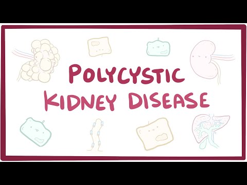Significance of the PKD1 Gene in Polycystic Kidney Disease