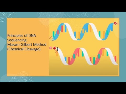 Advancements in Maxam Gilbert Sequencing Techniques
