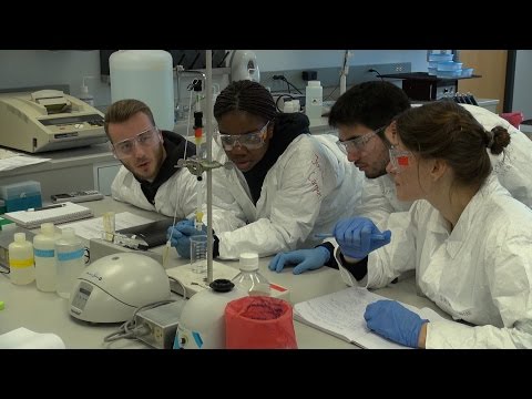 The Benefits of a Molecular Biology Degree for Science Careers