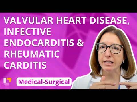 Pathophysiology of Infective Endocarditis: Mechanisms and Risks