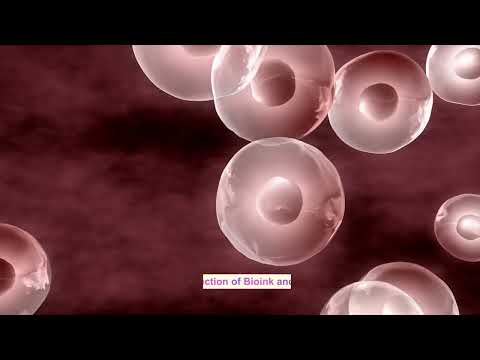 Innovations in Cell and Tissue Engineering for Health Solutions