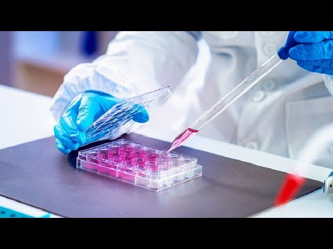 Innovations in Stem Cell Research and Its Societal Role