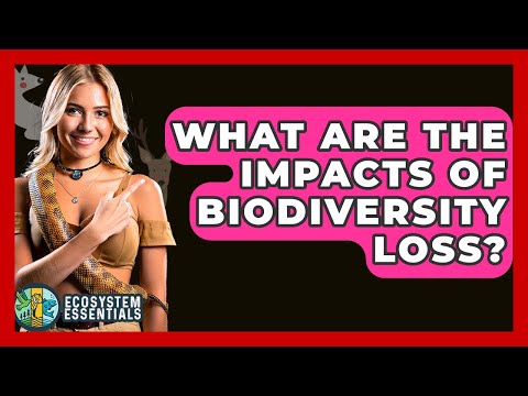 Biodiversity Loss and Its Consequences for Ecosystems