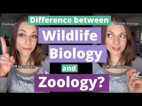 Zoology Graduate Programs for Aspiring Wildlife Scientists