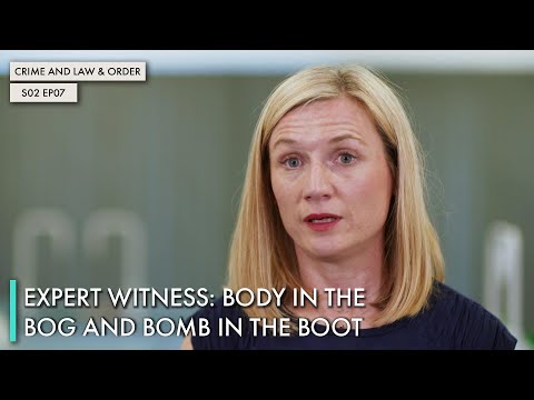 Forensic Science and the Role of Expert Witnesses in Justice