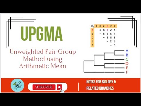 UPGMA Method and Its Role in Genetic Research Applications