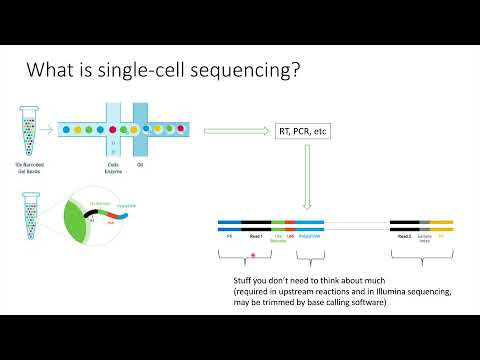 Single Nucleus Sequencing Advancements in Genomic Research
