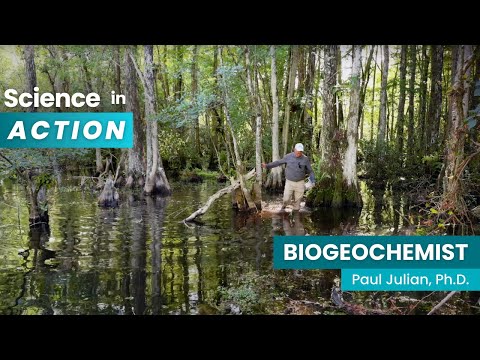 Nutrient Pollution: Unraveling Its Key Scientific Causes