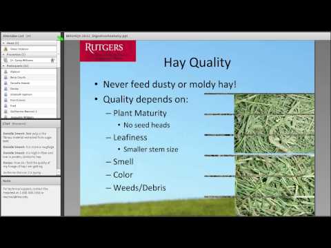 The Anatomy and Function of Horse Organs in Science