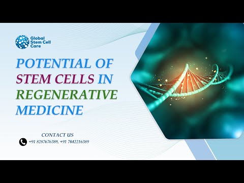 Multipotent Cells: The Building Blocks of Regenerative Medicine