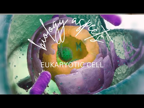 Unraveling the Mysteries of Eukaryotic Cells in Science