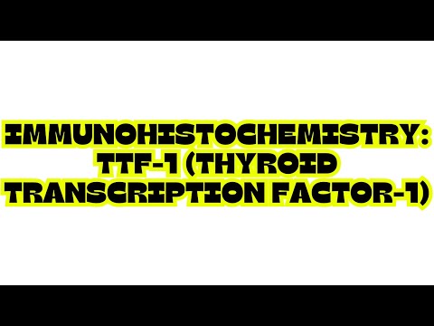 TTF 1 Pathology Outlines for Scientific Outreach Initiatives