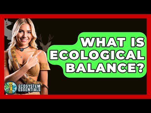 Promoting Ecological Balance Through Scientific Engagement
