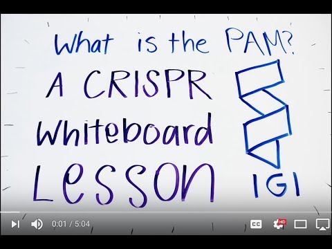 Protospacer Role in CRISPR and Genetic Engineering Innovations