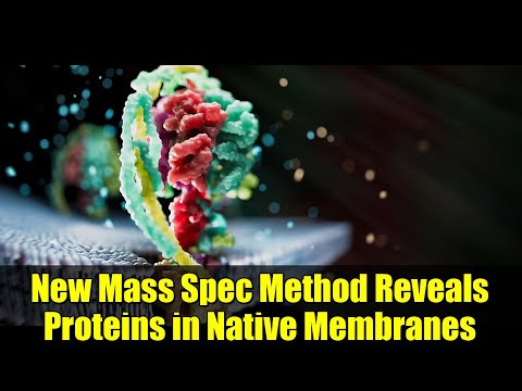 Innovative Techniques in Mass Spectrometry for Protein Study