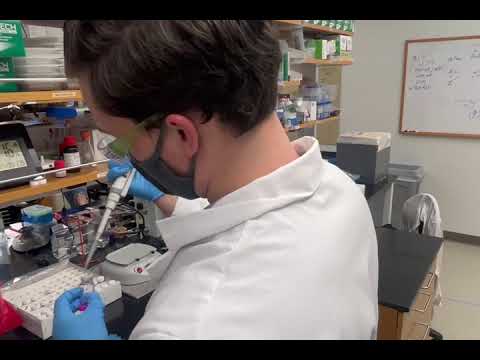 Advancing Science Through Vanderbilt’s Chemical Engineering Programs