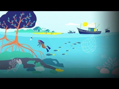 Innovative Approaches to Marine Protection and Conservation