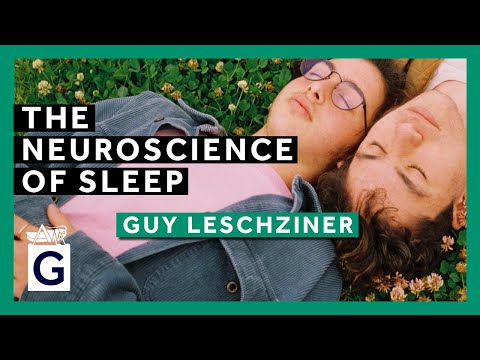 Insights into the Neuroscience of Sleep and Its Functions