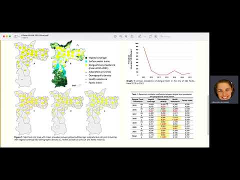 Epidemiology of Dengue Fever: Trends and Public Health Challenges