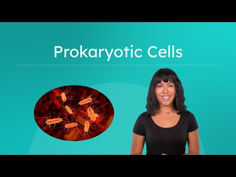 Unraveling the Wonders of Prokaryotic Cells in Science