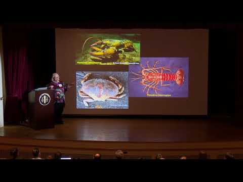 Eve Marder and the Pursuit of Neural Circuitry Insights