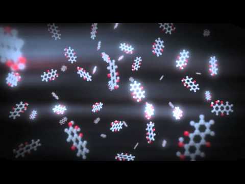 Transient Absorption Spectroscopy in Modern Scientific Research