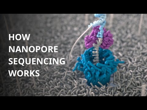 Advancements in Nanopore Sequencing Technology for Research