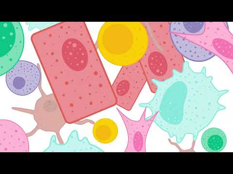 Advancements in 10x Genomics Spatial Transcriptomics