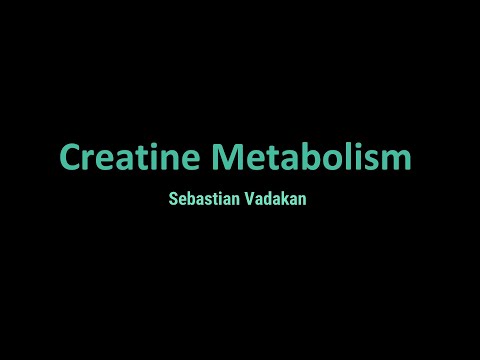 The Molecular Structure of Creatine in Biological Systems
