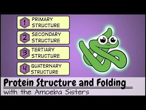 Protein Structure and Folding: Foundations of Life Sciences