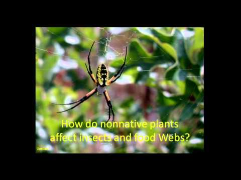 Innovations in Novel Ecosystems for Sustainable Science Outreach