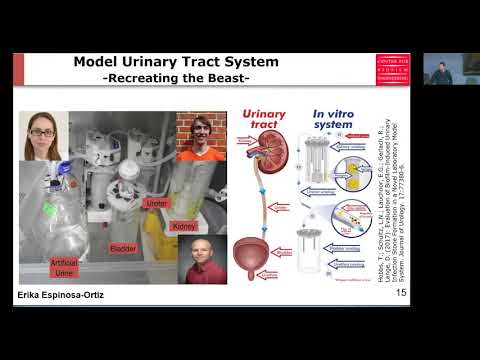 Advancements in Confocal Raman Spectroscopy for Material Science