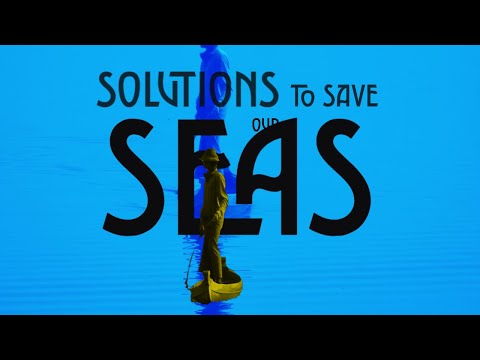 Innovative Solutions for Combating Ocean Pollution
