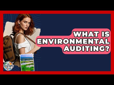 Environmental Audits: A Path to Sustainable Practices