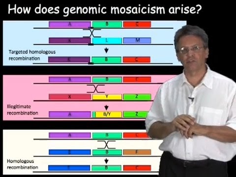 Phage Genome Research and Its Importance in Biotechnology