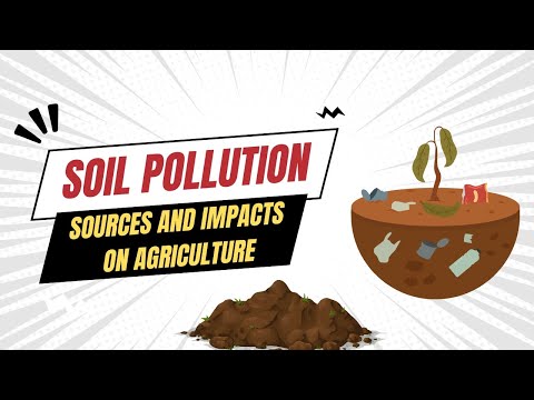 Key Factors Behind Soil Contamination and Its Consequences