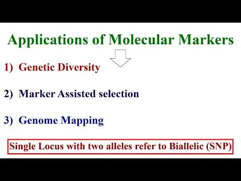 Allozymes and Their Role in Genetic Diversity Studies