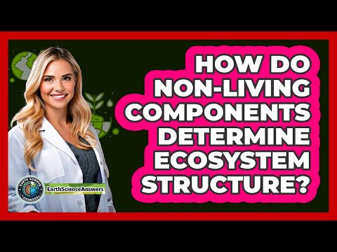 Influence of Non-Living Factors on Ecosystem Dynamics