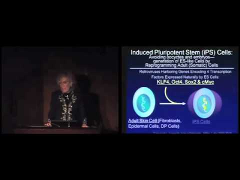 Progenitor Stem Cells and Their Role in Regenerative Medicine