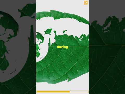 Rapid Evolution: Insights into Nature's Fast Adaptations