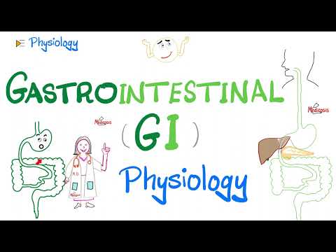Gastrointestinal Physiology: Insights into Digestive Health