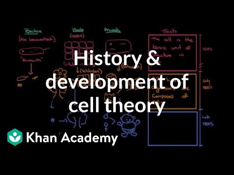 The Role of Theoretical Biology in Modern Science