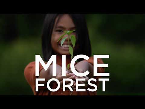 Towards a Sustainable Future: Addressing Carbon Emissions
