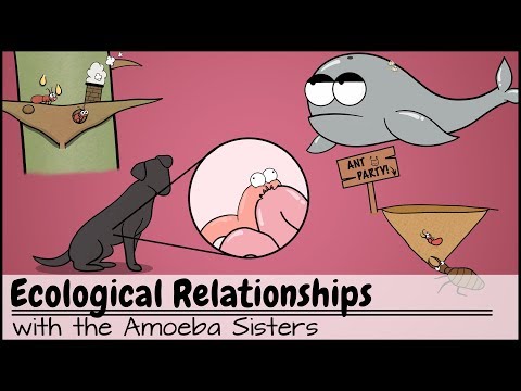 Parasite Ecology and Its Role in Ecosystem Dynamics