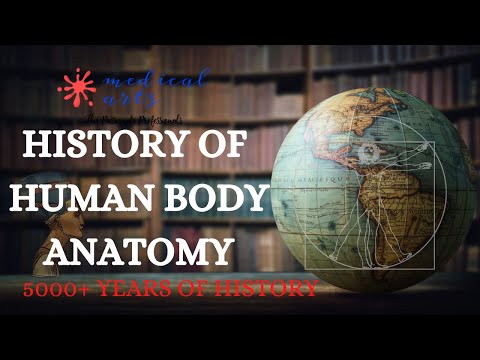 Saladin’s Anatomy and Physiology in Historical Context