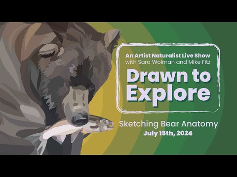 Scientific Insights into Bear Anatomy Through Illustration