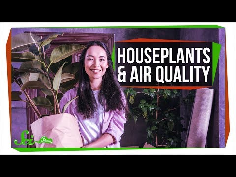 Improving Air Quality in DFW Through Scientific Research