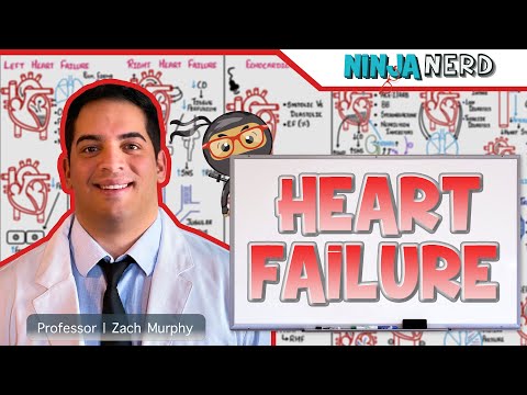 Pathophysiology of Right Sided Heart Failure in Detail