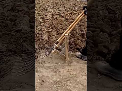 Innovative Approaches in Hands-On Agronomy Practices